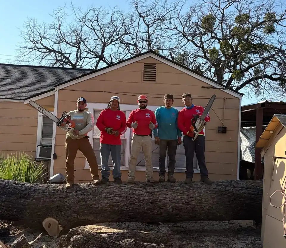 Five Texas Tree Tops crew members standing on a felled log in front of a house